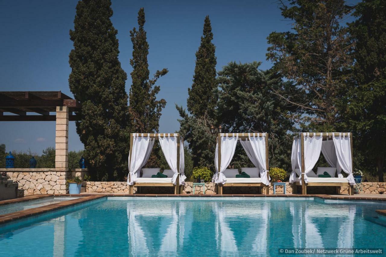 Sa Vaqueria Villa Porto Cristo Eksteriør billede