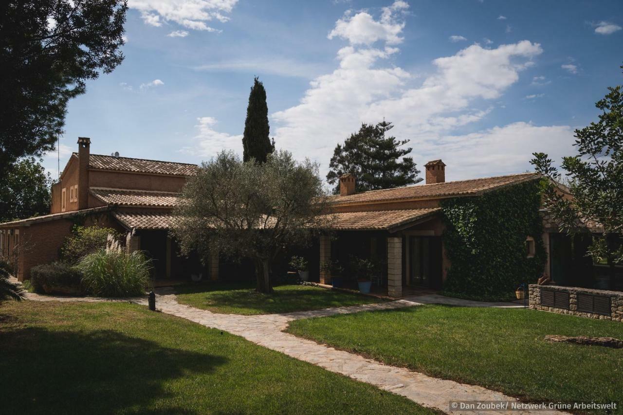 Sa Vaqueria Villa Porto Cristo Eksteriør billede
