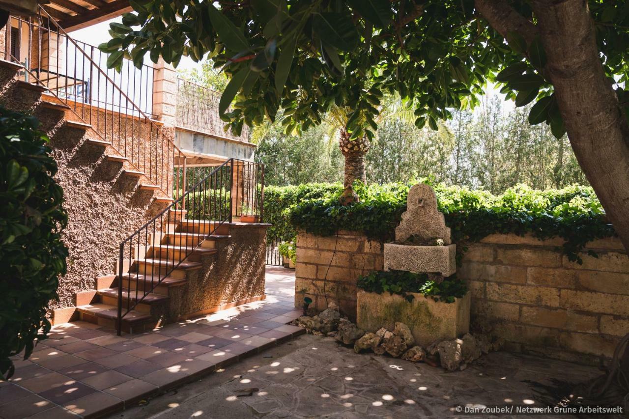 Sa Vaqueria Villa Porto Cristo Eksteriør billede