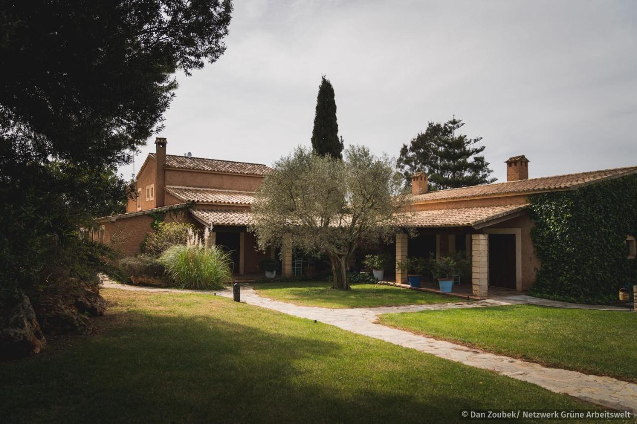 Sa Vaqueria Villa Porto Cristo Eksteriør billede
